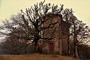 CASTEL REGINA (1424 m) e PIZZO CERRO ( 1285 m) ad anello da Catremerio l’11 gennaio 2019 - FOTOGALLERY